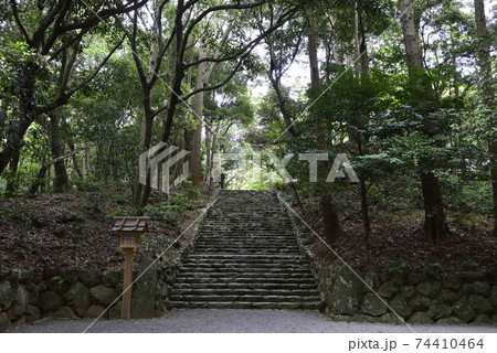 伊勢神宮　内宮別宮　倭姫宮　参道 74410464