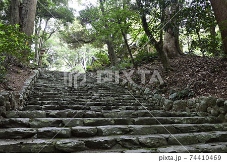 伊勢神宮　内宮別宮　倭姫宮　参道 74410469