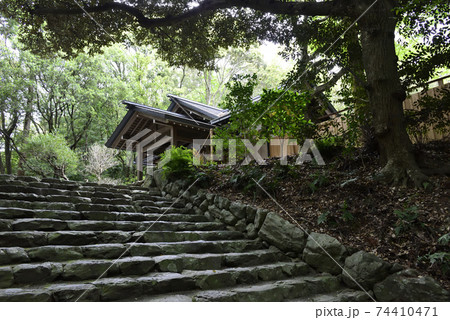 伊勢神宮 内宮別宮 倭姫宮 参道 伊勢神宮 内宮別宮 倭姫宮 参道 74410471