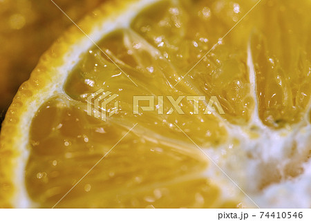 花粉症に効くという柑橘類、ジャバラ 花粉症に効くという柑橘類、ジャバラ 74410546