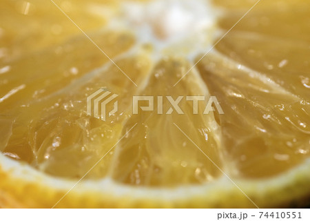 花粉症に効くという柑橘類、ジャバラ 74410551