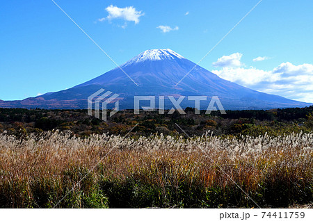 冠雪の富士山とススキ 冠雪の富士山とススキ 74411759
