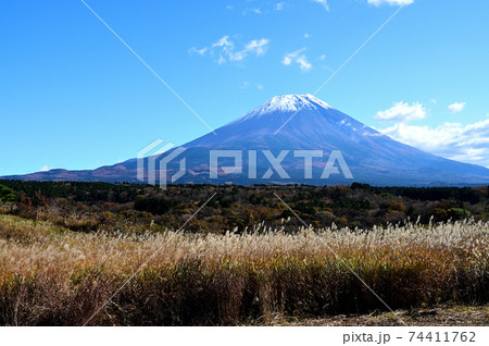 冠雪の富士山とススキ 74411762