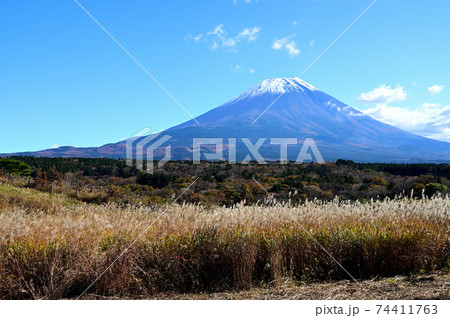 冠雪の富士山とススキ 冠雪の富士山とススキ 74411763