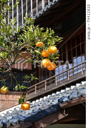 冬晴れの半田運河界隈　旧中埜半六邸・蔵の街 74412810