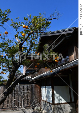 冬晴れの半田運河界隈　旧中埜半六邸・蔵の街 74412812