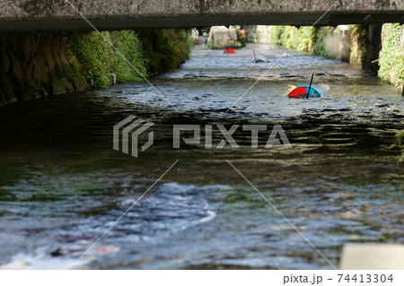 鳥取　四季の散歩　鯉幟が泳ぐ川　瀬戸川 74413304