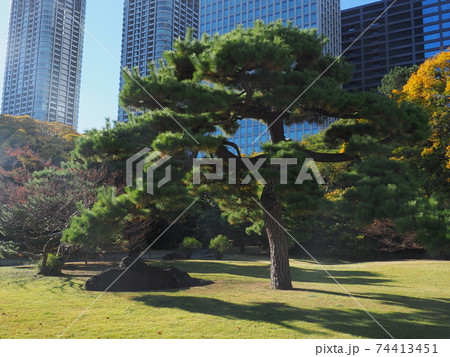 浜離宮庭園 74413451