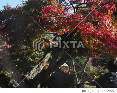 浜離宮庭園 浜離宮庭園 74413455