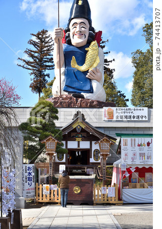 梅開花 真岡市大前神社 梅開花 真岡市大前神社 74413707