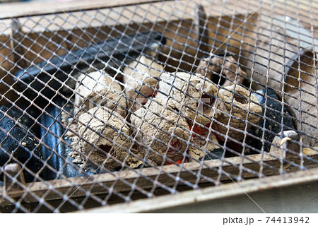 網焼き 貝類 かい 74413942