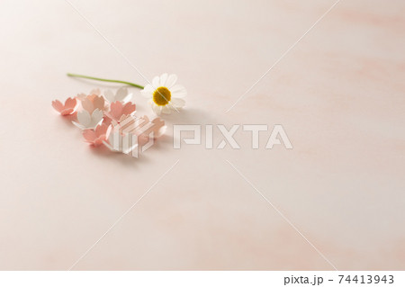 春のイメージ　淡い色合いのサクラの花 74413943