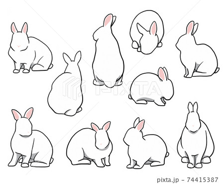 おすわりウサギ 短耳 ホワイトセットのイラスト素材 [74415387] - PIXTA