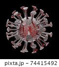 新型コロナウィルスの3Dイメージ 74415492