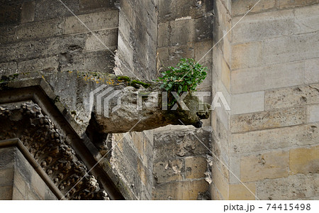 ランス・ノートルダム大聖堂外壁、フランス ランス・ノートルダム大聖堂外壁、フランス 74415498