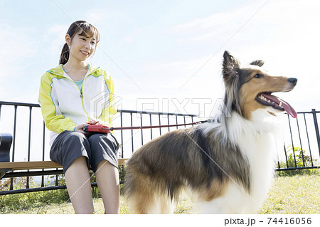 公園で犬の散歩中休憩をする若い女性 公園で犬の散歩中休憩をする若い女性 74416056