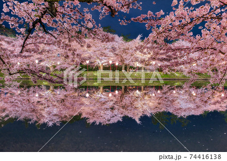 満開の弘前城西濠の夜桜 満開の弘前城西濠の夜桜 74416138