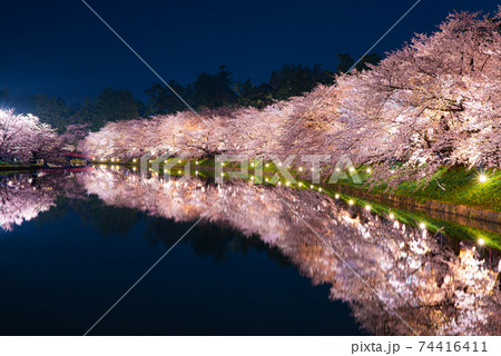 弘前城公園の西濠沿いのライトアップされた夜桜 74416411