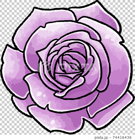 手描きベクターイラスト素材 紫の薔薇のイラストのイラスト素材