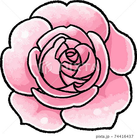 手描きベクターイラスト素材 ピンクの薔薇のイラストのイラスト素材