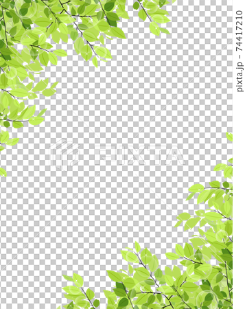 Fresh green frame / background material (vertical) Fresh green frame / background material (vertical) 74417210