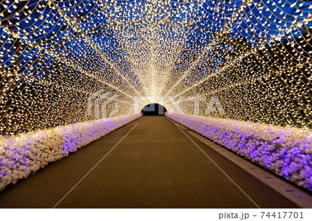 三重県　なばなの里　イルミネーション 74417701