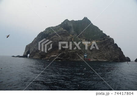 海 海岸 カモメ 74417804
