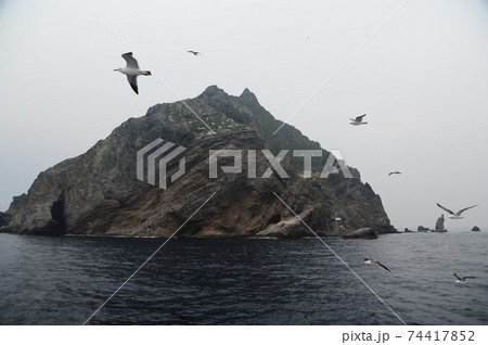 海 海岸 カモメ 74417852