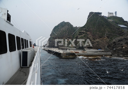 海 海岸 カモメ 74417858