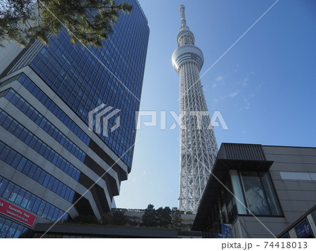 東京スカイツリー　tokyo skytree 74418013