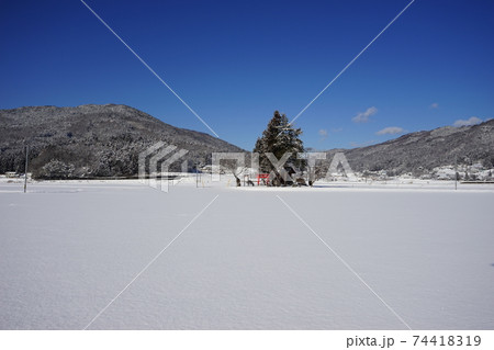 遠野遺産　谷地舘の址と八幡宮 74418319