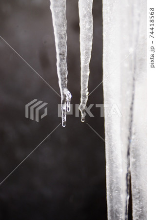 ツララ ツララ 74418568