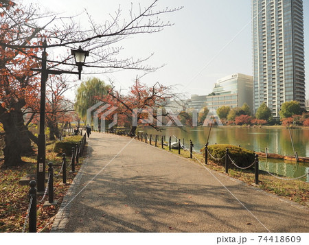 上野公園 紅葉 上野公園 紅葉 74418609