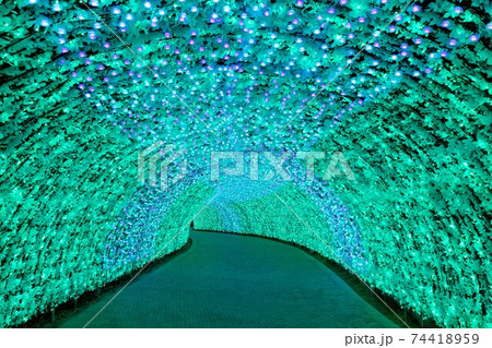 三重県 なばなの里 イルミネーション 三重県 なばなの里 イルミネーション 74418959