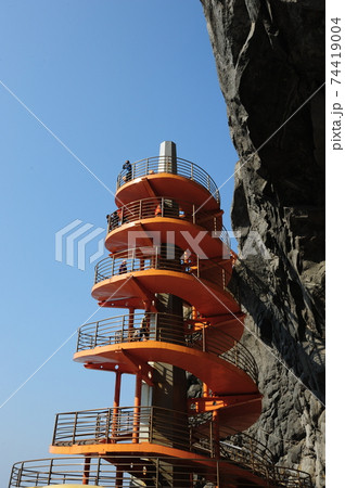 木 植物 山 74419004