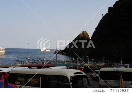 木 晴れ 風景 74419987