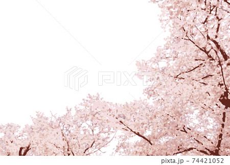 桜 水彩 コピースペース 桜 水彩 コピースペース 74421052