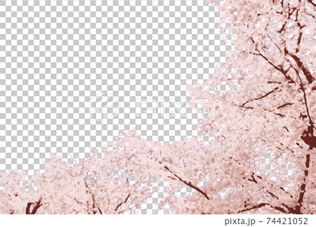 櫻花水彩副本空間 櫻花水彩副本空間 74421052