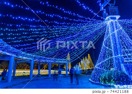岐阜県海津市 木曽三川公園センターのイルミネーションイベント 冬の光物語の写真素材