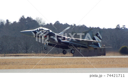 飛び立つアグレッサー 74421711