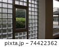 佐渡 茶道 茶芸 74422362