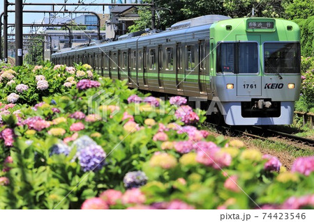 京王井の頭線・緑 74423546
