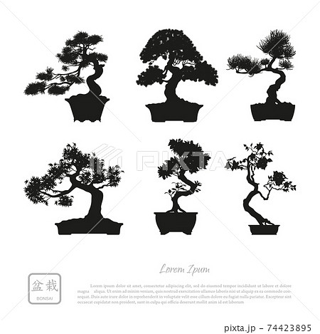 Bonsai Set Black Silhouette Of Bonsai On White のイラスト素材