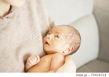新生児 新生児 74424219