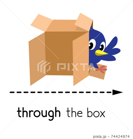 Preposition of movement. Bird walk through the box Preposition of movement. Bird walk through the box 74424974