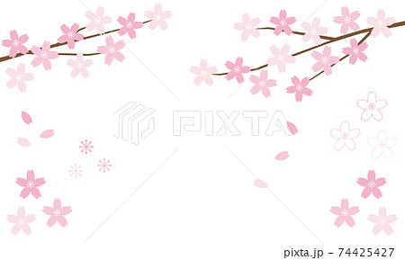 桜の枝と舞い散るサクラの花びらのイラストのイラスト素材