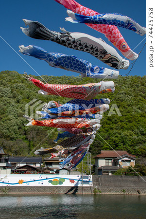岡山県井原市芳井町の春の風物詩　小田川横断こいのぼり 74425758