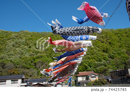 岡山県井原市芳井町の春の風物詩　小田川横断こいのぼり 74425785