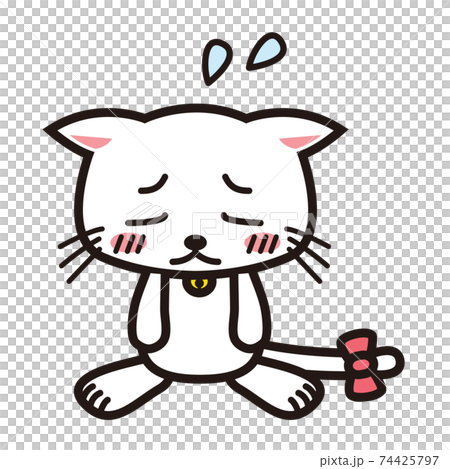 俯いて悲しんでいる白猫 74425797