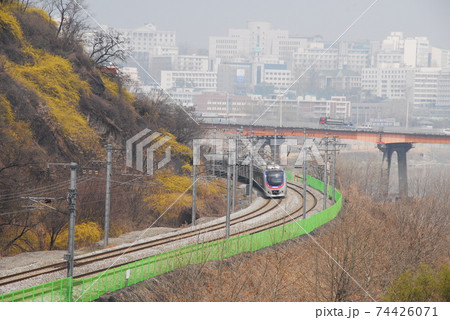 都市 都会 川 74426071
